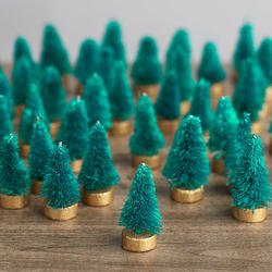 Bulk Miniature Bottle Bush Trees