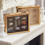 Miniature Shadow Box with Shell Collection