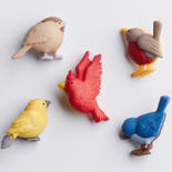 Dress It Up Feathered Friends Buttons