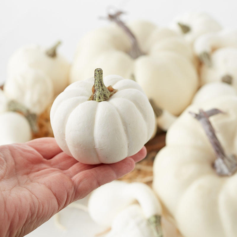 Assorted Harvest White Artificial Pumpkins and Gourds - Pumpkins - Fall ...