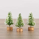Miniature Frosted Lime Green Bottle Brush Trees