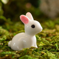 Miniature White Bunny Rabbit