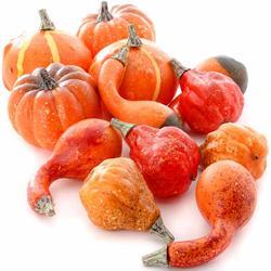Bulk Case of 576 Artificial Harvest Orange Pumpkins and Gourds