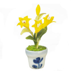 Miniature Yellow Lily In Pot
