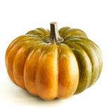 Bulk Case of 18 Orange and Green Artificial Harvest Pumpkins