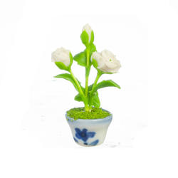 Miniature Potted White Rose
