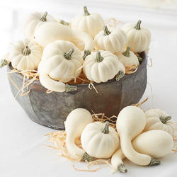 Faux Baby Boo Pumpkins and Gourds Assortment