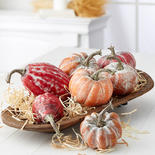 Assorted Frosted Faux Pumpkins and Gourds