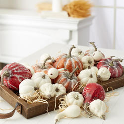 Assorted Harvest White and Frosted Pumpkins and Gourds