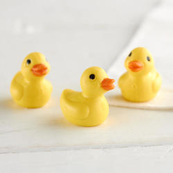 Miniature Rubber Duck Set