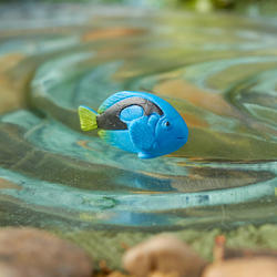 Miniature Blue Tang Fish Figurine