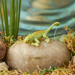 Micro Mini Chameleon Lizard