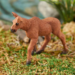 Miniature Moose Calf