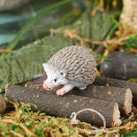 Micro Miniature Hedgehog