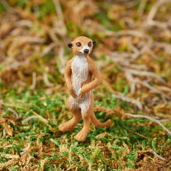 Micro Miniature Meerkat