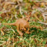 Micro Miniature Kangaroo with Baby