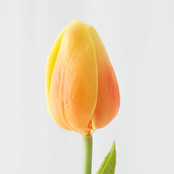 Realistic Artificial Orange Tulip
