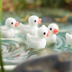 Miniature White Ducklings