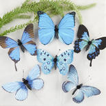 Blue Assorted Print Artificial Butterflies