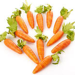 Bulk Case of 1440 Artificial Carrots