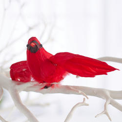 Flying Artificial Cardinal with Clip