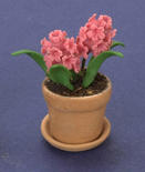 Dollhouse Miniature Potted Pink Hyacinth