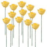 Miniature Yellow Rose Stems