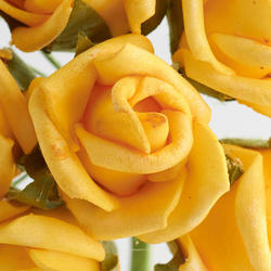 Yellow Mini Rose Bundle