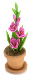 Dollhouse Miniature Potted Pink Gladiolus