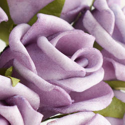 Lavender Mini Rose Bundle