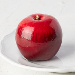 Red Artificial Apple