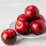 Red Artificial Apples