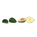 Bulk Miniature Avocados