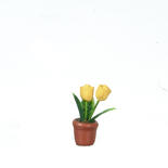 Miniature Potted Yellow Tulips