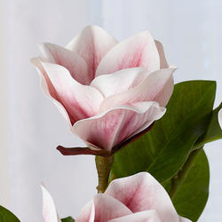 Artificial Cream Pink Magnolia Silk Flower Stem