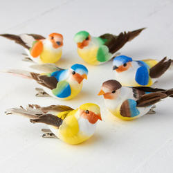 Assorted Bright Mushroom Birds with Clips