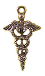 Sterling Silver Medical Caduceus