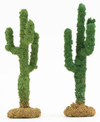 Pair of Miniature Saguro Cactus