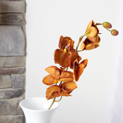 Light Brown Artificial Phalaenopsis Orchid Spray