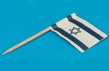 Miniature Israel Star of David Flag
