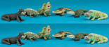 Assortment of Mini Reptile Animals