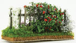 Miniature Wild Rose Garden Fence