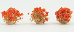 Miniature Orange Flocked Brittle Bushes