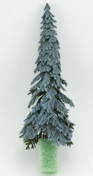 Mini Eastern Blue Spruce Pine Tree