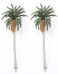 Miniature Tropical Date Palm Trees
