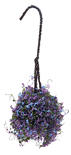Miniature Hanging Basket of Tiny Purple Flowers