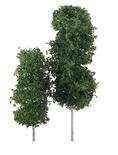 Pair of Miniature Green Aspen Grove Trees