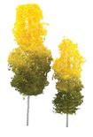 Pair of Miniature Late Summer Aspen Grove Trees