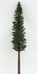 Mini Lodgepole Pine Tree