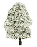 Faux Miniature White Dogwood Tree